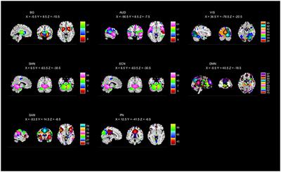 Intrinsic Network Brain Dysfunction Correlates With Temporal Complexity in Generalized Anxiety Disorder and Panic Disorder